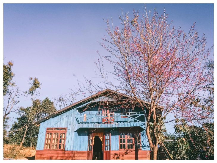 80892154 578981229604592 6526955722628923392 O