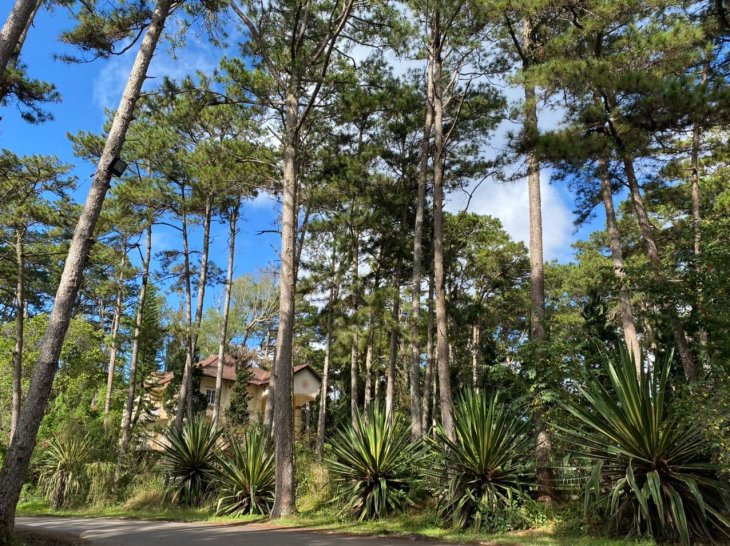 Photo 2020 11 07 08 53 05