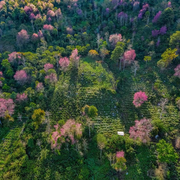 133877770 10215677596926631 3200576153015842495 O