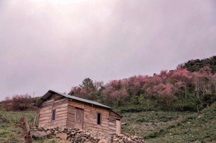 134426239 2511066172530799 661238938761784644 O