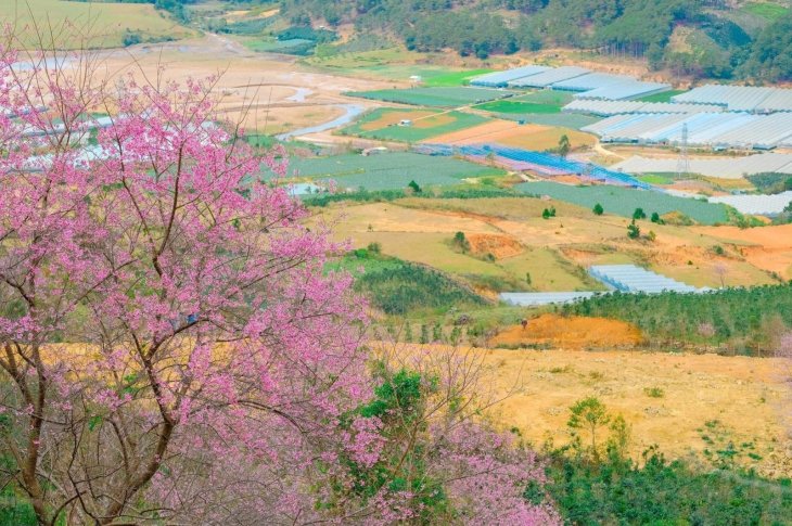 134451081 2922108474780710 6880626162714013577 O