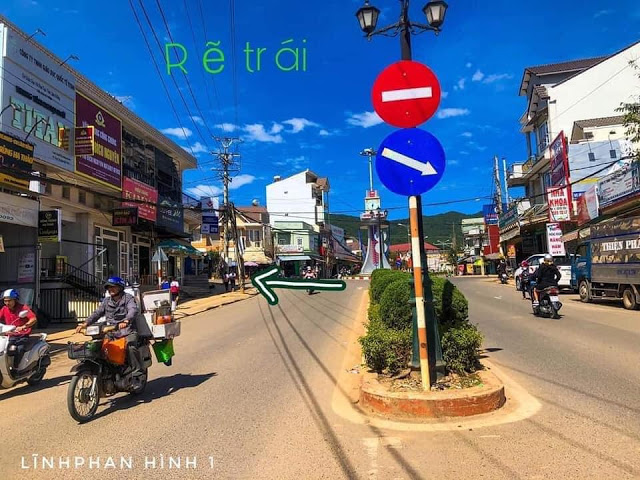 Mong Dao Nguyen Da Lat 1