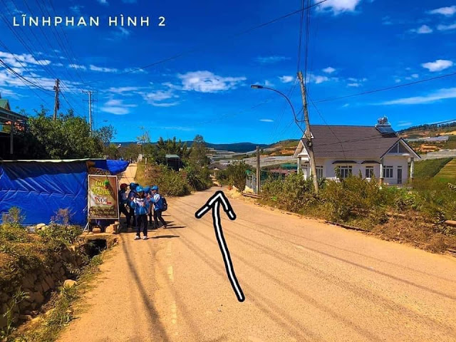 Mong Dao Nguyen Da Lat 2