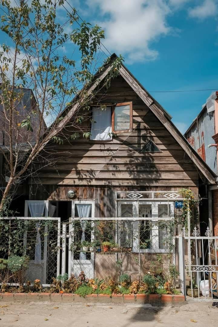 126292434 2883938091931082 3712355930044411596 O