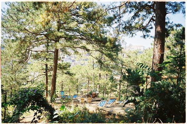 Homestay View Dep Da Lat