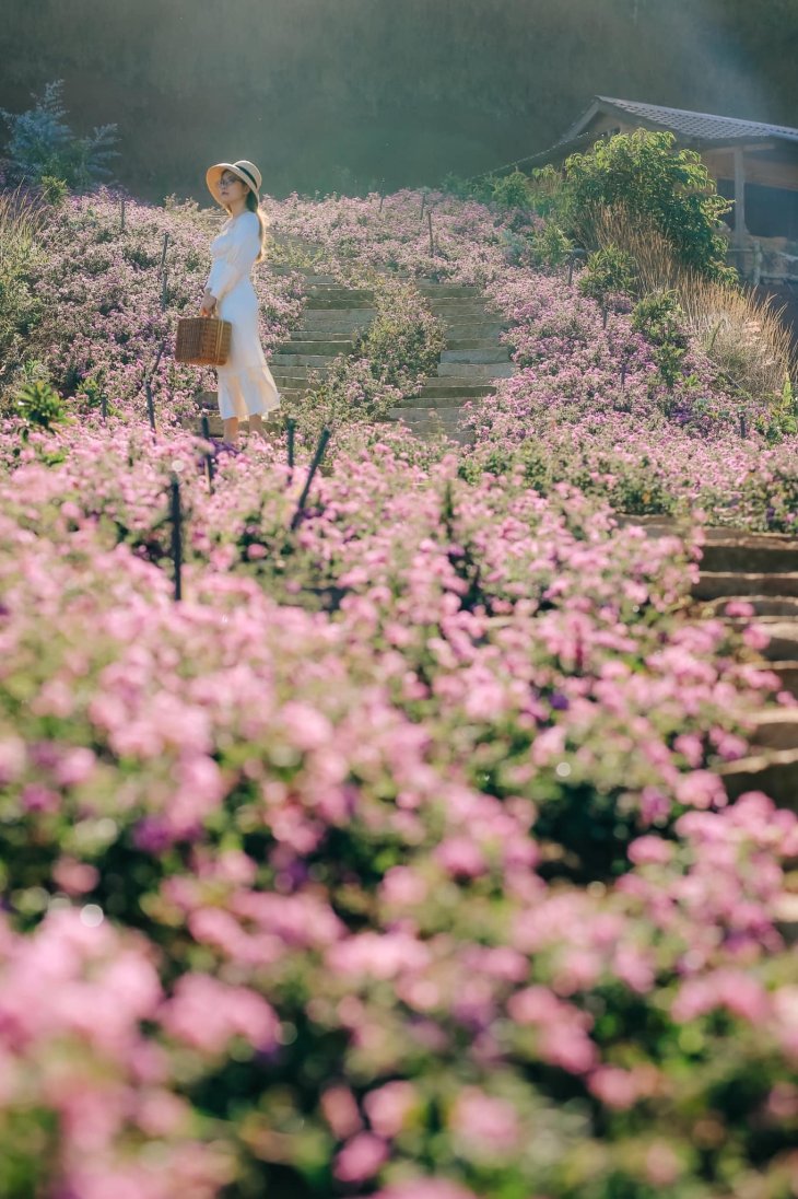 134739660 3517305505049013 4068055310589576572 O