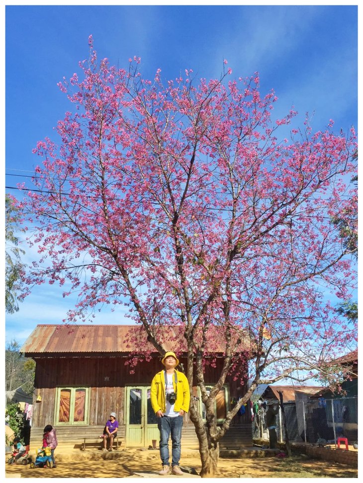 139905541 861227061380006 2813891182936350858 O