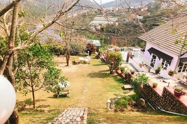 San Vuon
