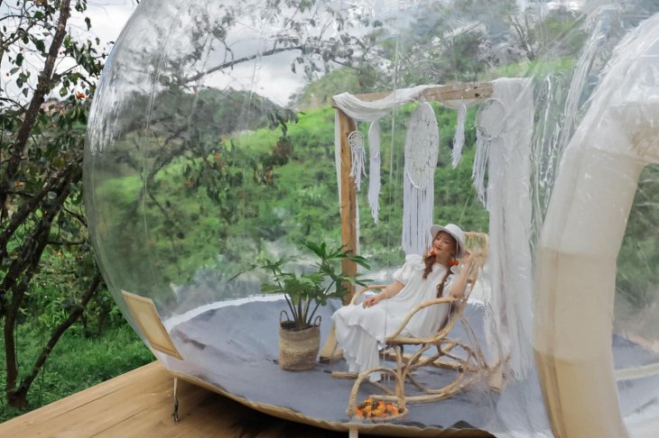 132684989 5163838193641481 421904809291378250 O