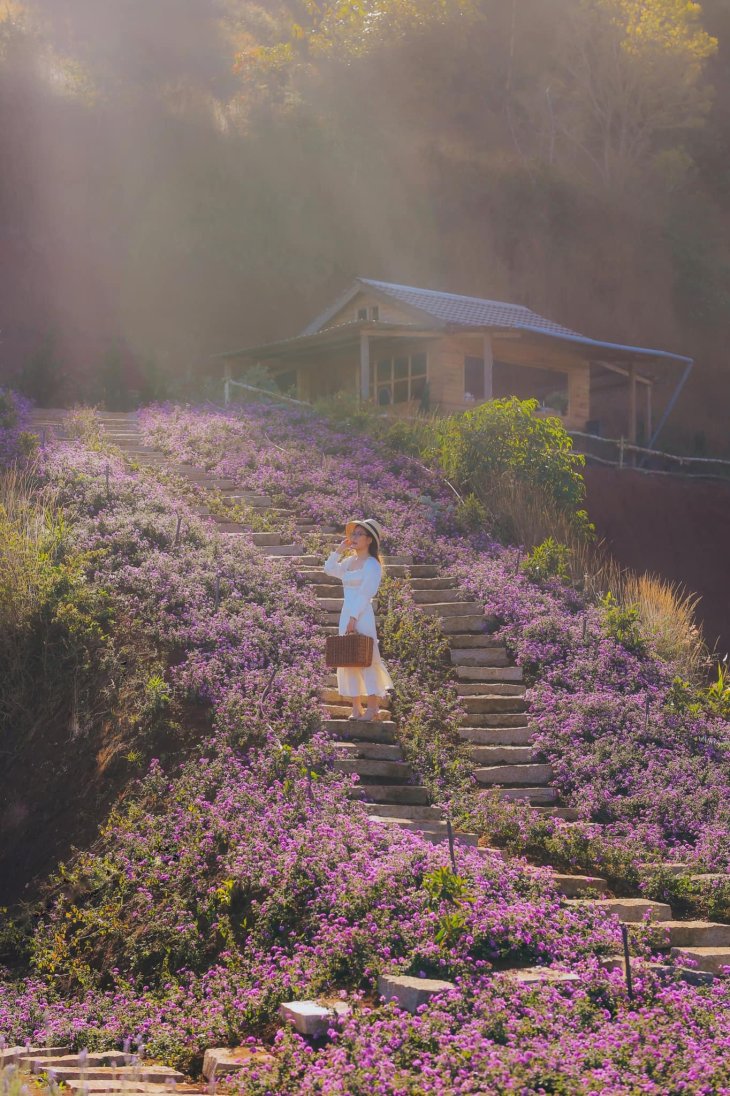 135490954 3517306595048904 3947377012025404667 O