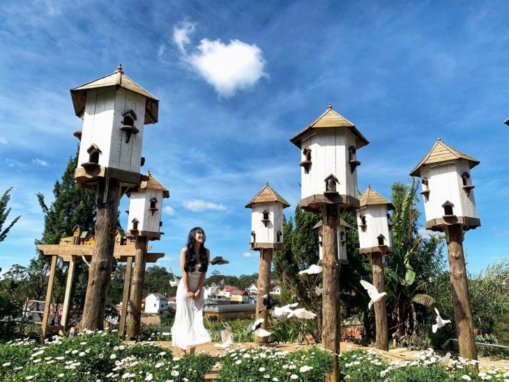 139803136 3588392491196443 9165529880391392399 O