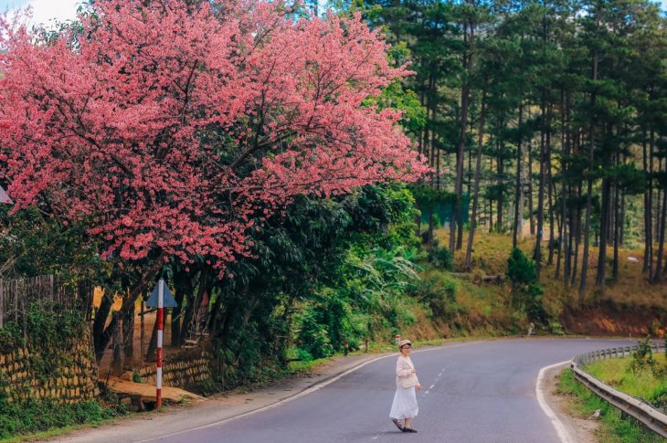 140296786 3560213334091563 2779152651214222530 O