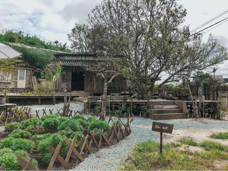 Rung Dom Dom Cafe Da Lat 10 1532