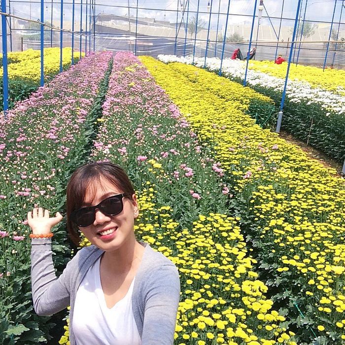 73105 Dia Chi Lang Hoa Thai Phien Da Lat 700x700