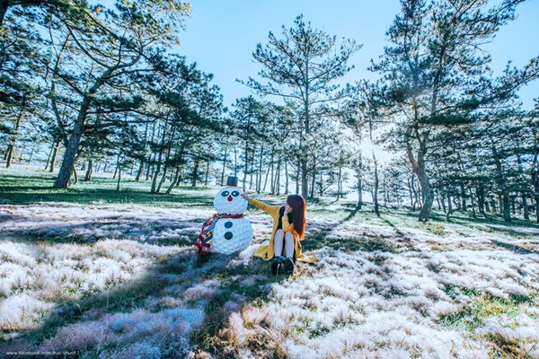 Canh Dong Tuyet Da Lat