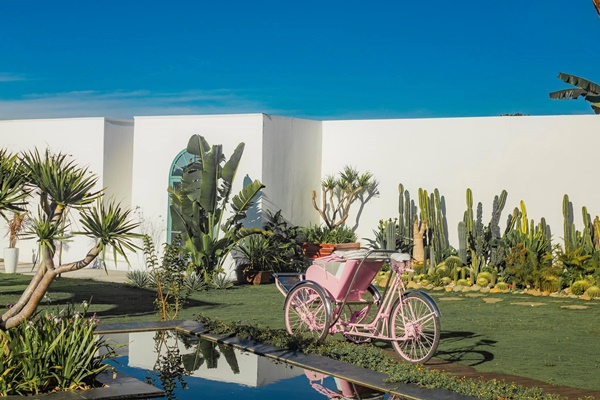 142653976 4881627265241475 3009246285467405527 O