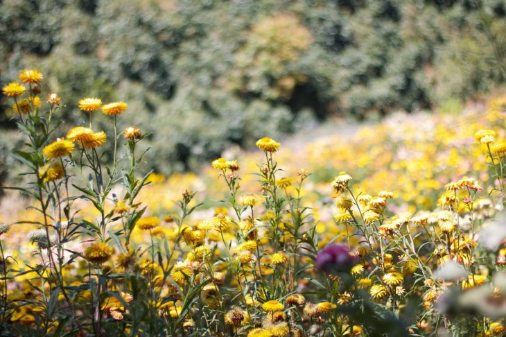 Z2344699119995 9a4e9f12e4ca0e93bb59060b7d81ba26