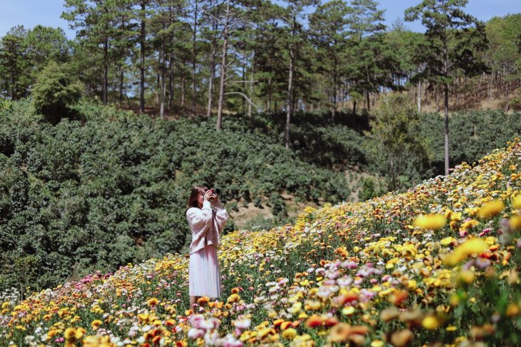 Z2344699122018 C9bf85883206374ae55df16a05bec737