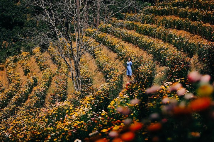 Z2344699130086 7e40b858f137df39928613a0efeac925