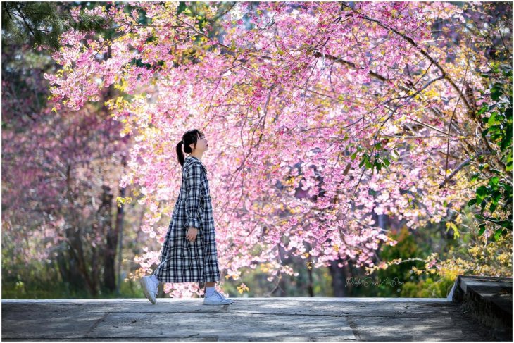 145896990 873050680197644 3715348217330303722 O