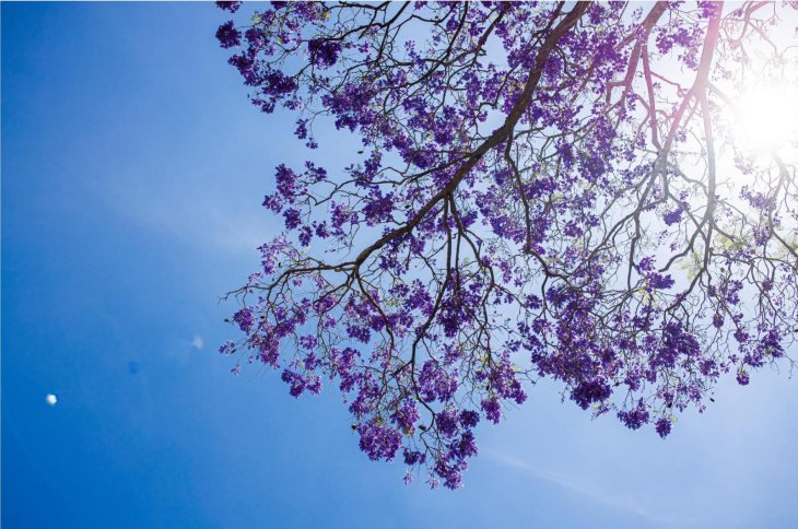 151937768 3807570485969478 6901670798566677135 O