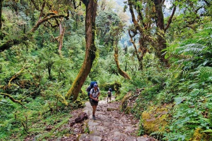 Dalat Jungle Trek 600x373 Copy