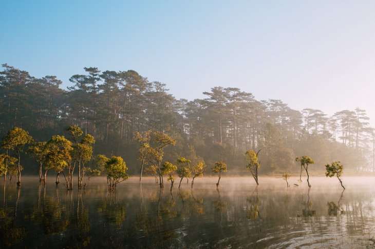 Ho Tuyen Lam Huyen Ao Trong Suong Som Ngay Xuan 04