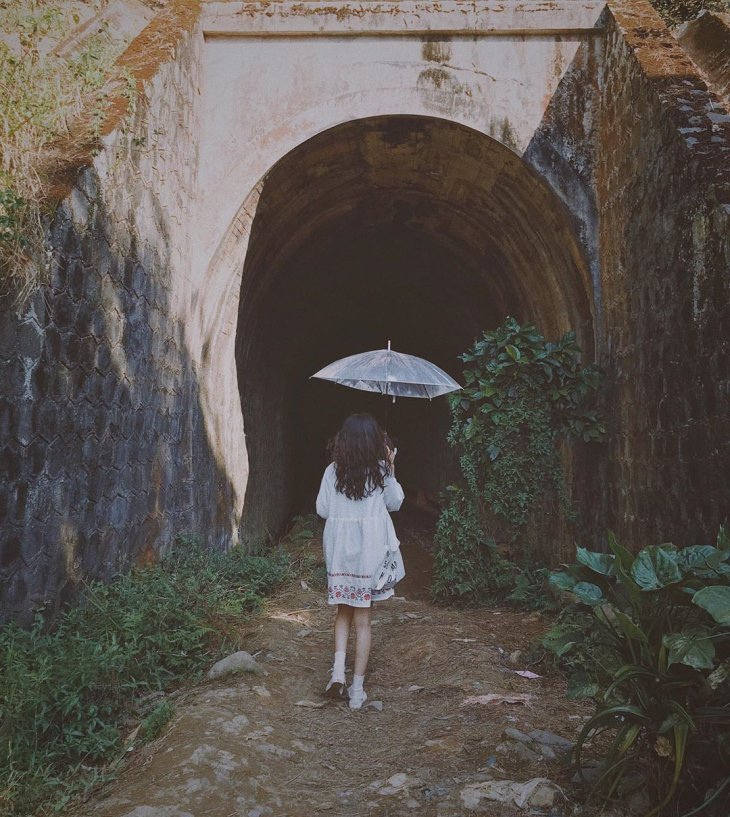 57257135 2200275063360385 1598856514605737210 N