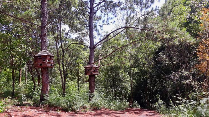 61109947 2063105343993553 9132854742098116608 O