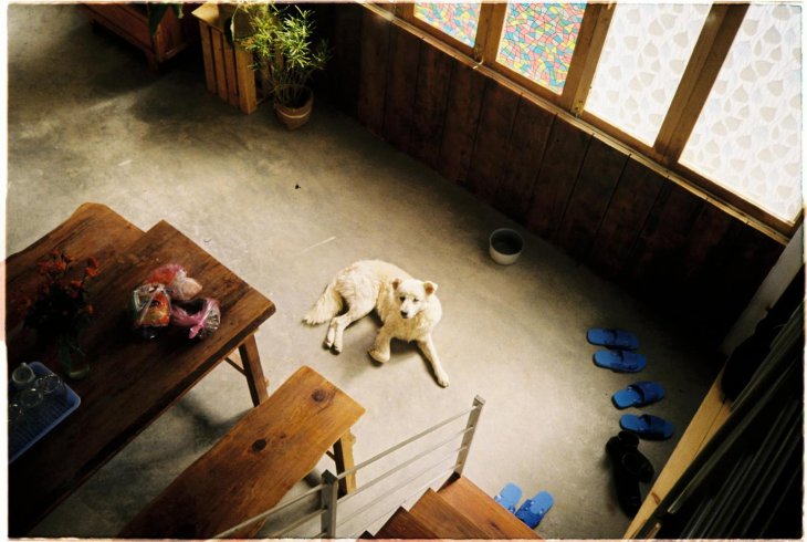 140865529 189866452867785 5458058131925568621 O