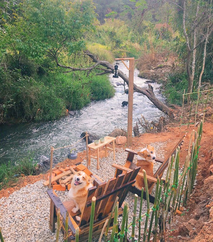 143618389 209430074223278 522703133482037060 O