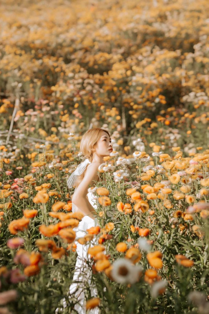 158468922 2858080834518123 497085218667473254 O