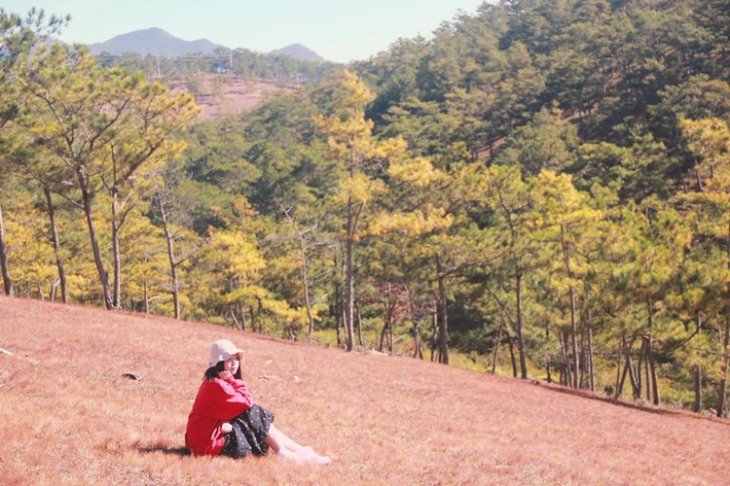 79937166 2517220391730380 6414432510096179200 O