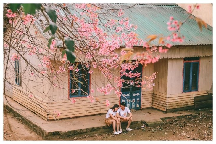 84802671 609223253247056 6548414122269081600 O