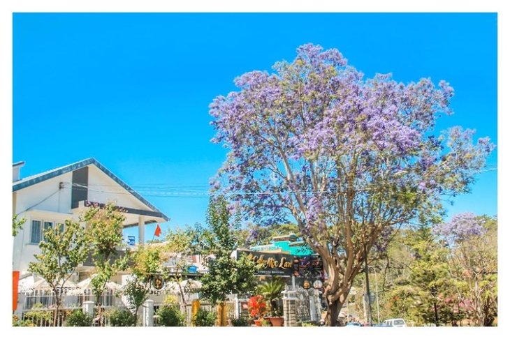 85184435 623682521801129 4846121095973044224 O