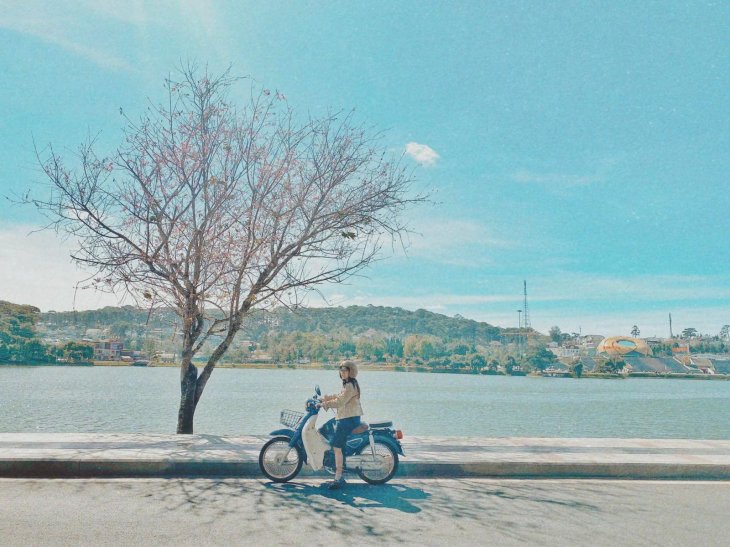 144999192 3593296834116546 755405456064424237 O