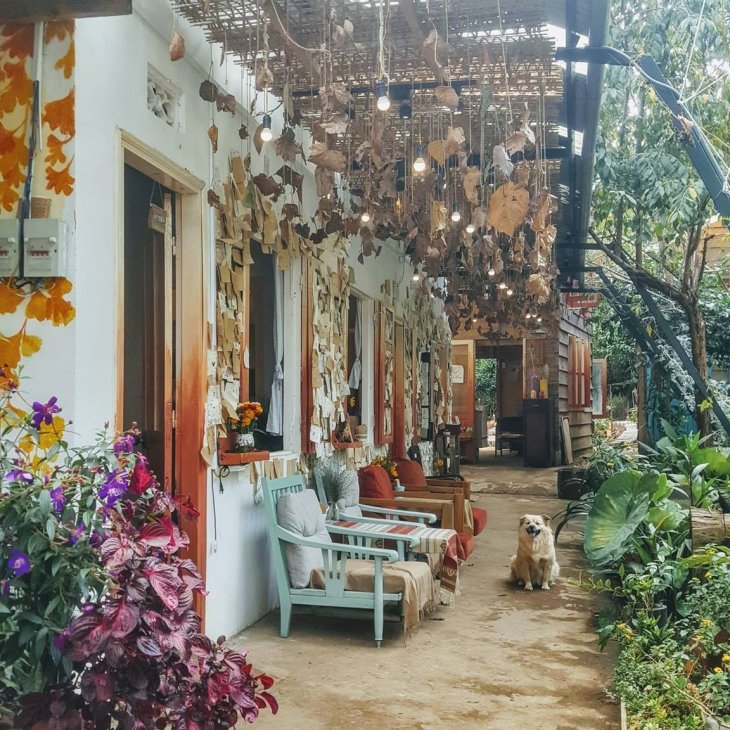 43278505 720213315038086 7745896084370620416 O