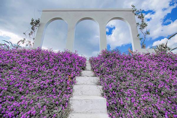 Nhung Dia Diem Du Lich Da Lat Moi