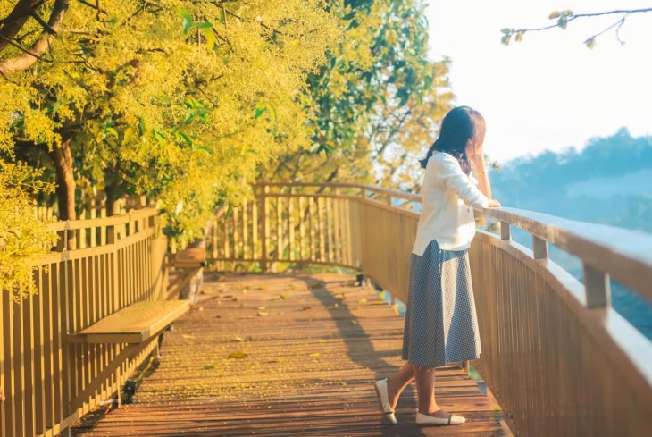 86460253 618055192363862 5208570654483283968 O