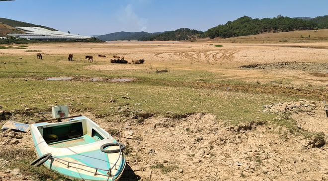 20210317 104541 Njaf