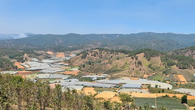 20210317 114610 Txth