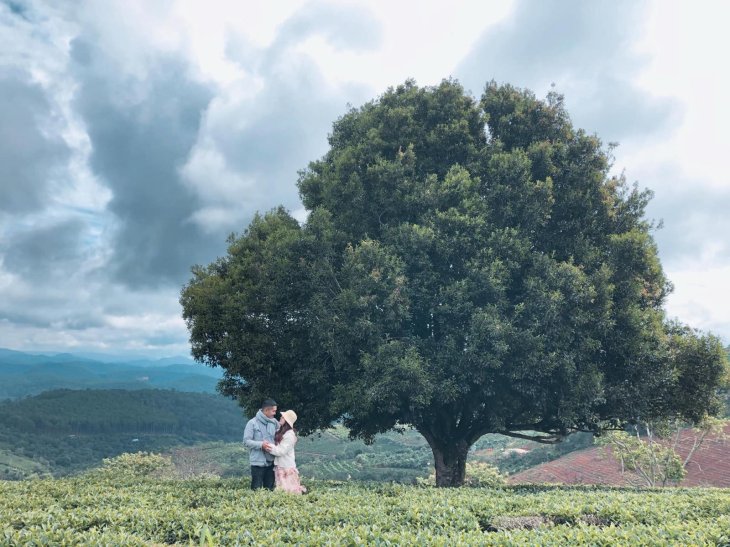 105700326 554724941860535 6111865488442755265 N