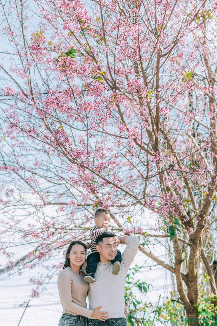 133718804 2050884961714757 4637589613569271479 N