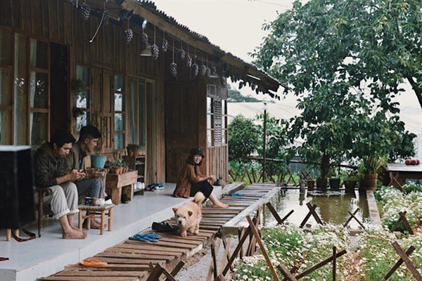 Reply 1994 Da Lat