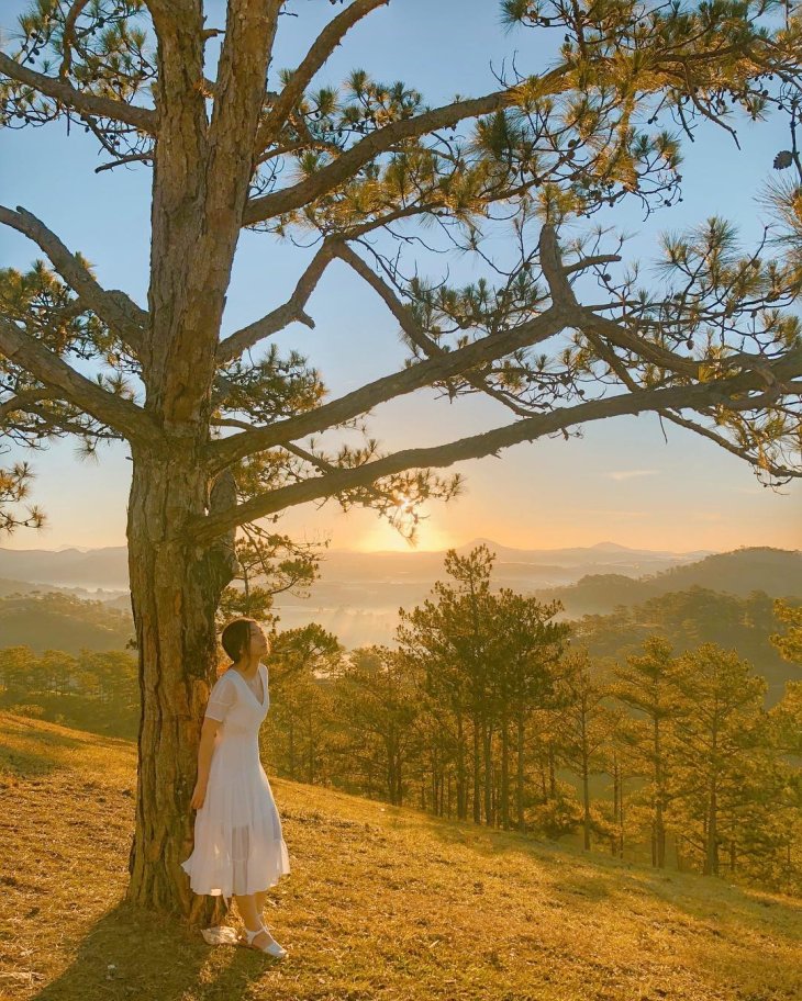 130002018 1567809780070652 5221734023460657831 N