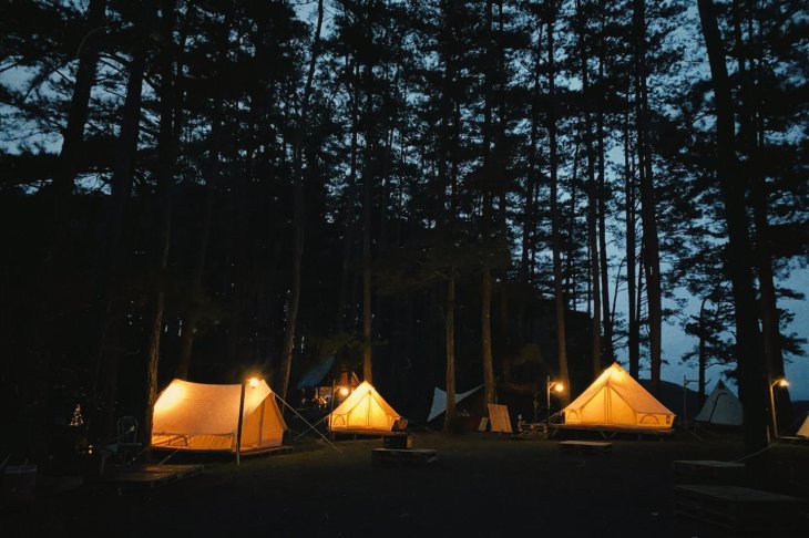 133524500 444328190307056 4418564418125720686 N