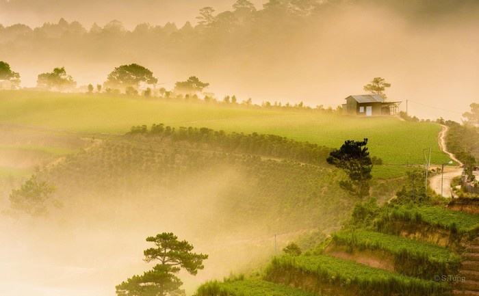 1536279422 6372fc07 D720 45eb B598 48a0bfe0c9d6