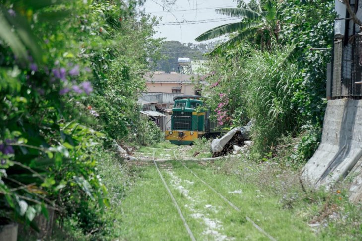 159113932 3584829298312996 7630192291484273563 N