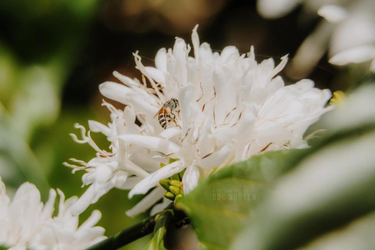 150144046 764732024439891 5435763336881557570 N