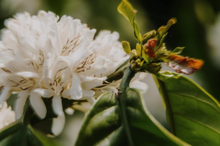 150258507 764732151106545 3915135073746718393 N